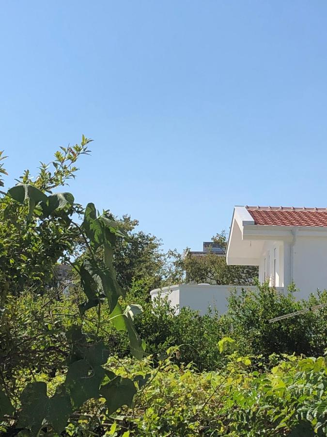 Villa Dafina Donji Stoj Buitenkant foto